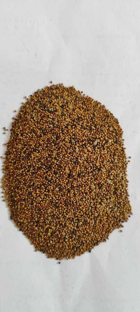 Finger Millets