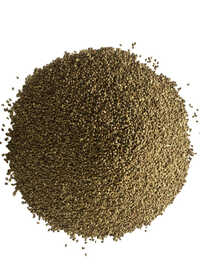 Little Millet