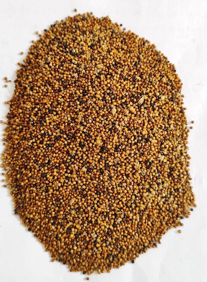 Little Millet