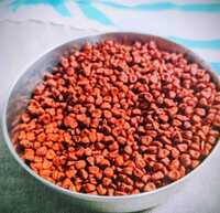 Annatto Seed