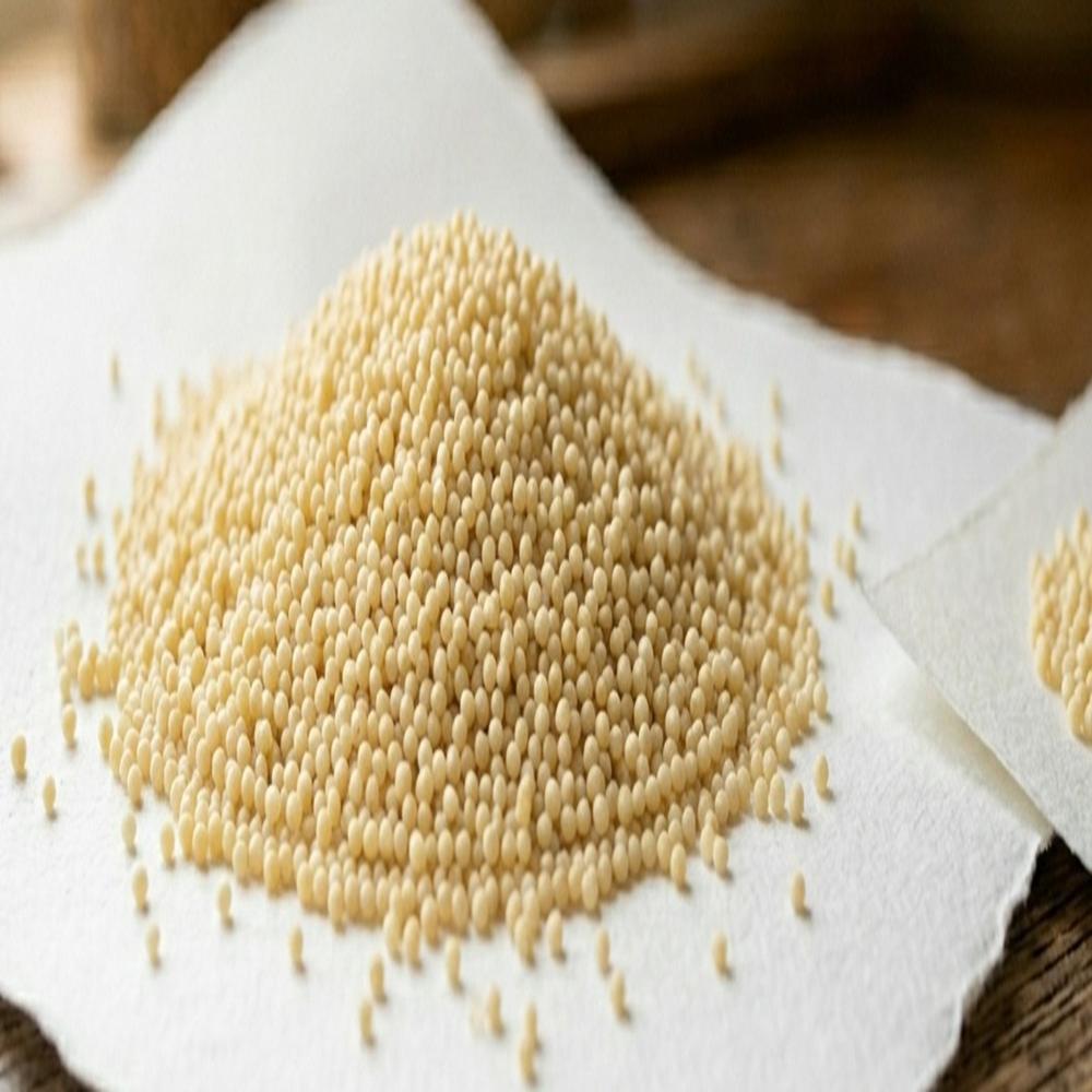 Bead-Active Vitamin C  SR Coated Beadlet 40% Strength