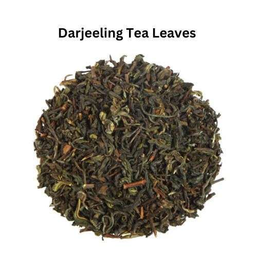 Darjeeling Tea Leaves