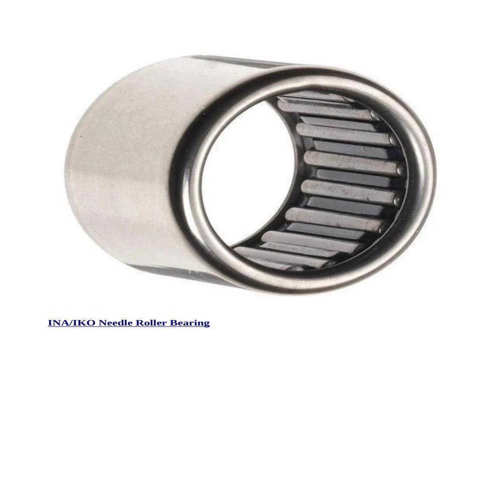 Ina/iko Needle Roller Bearing