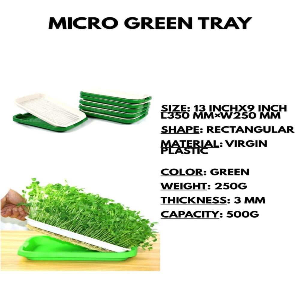 Micro Green Plastic Tray - High-quality Virgin Polypropylene, Size 300mm X 250mm X 50mm, Rectangle Design, Ideal For Growing Microgreens