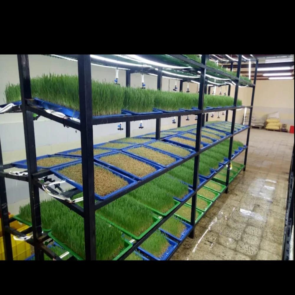 Hydroponic Tray - Polypropylene, 24x16 Inches, Green And Blue | Farm Cultivator, 24 Holes, Rectangular Shape, 2 Inch Height, Multi-purpose Animal Feeders