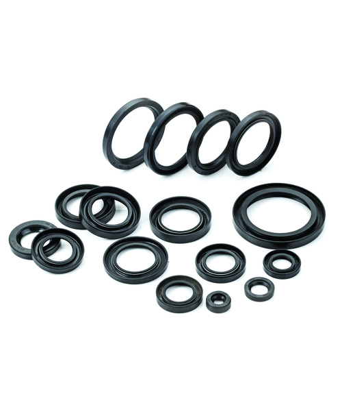 Oil Seals for Bearings