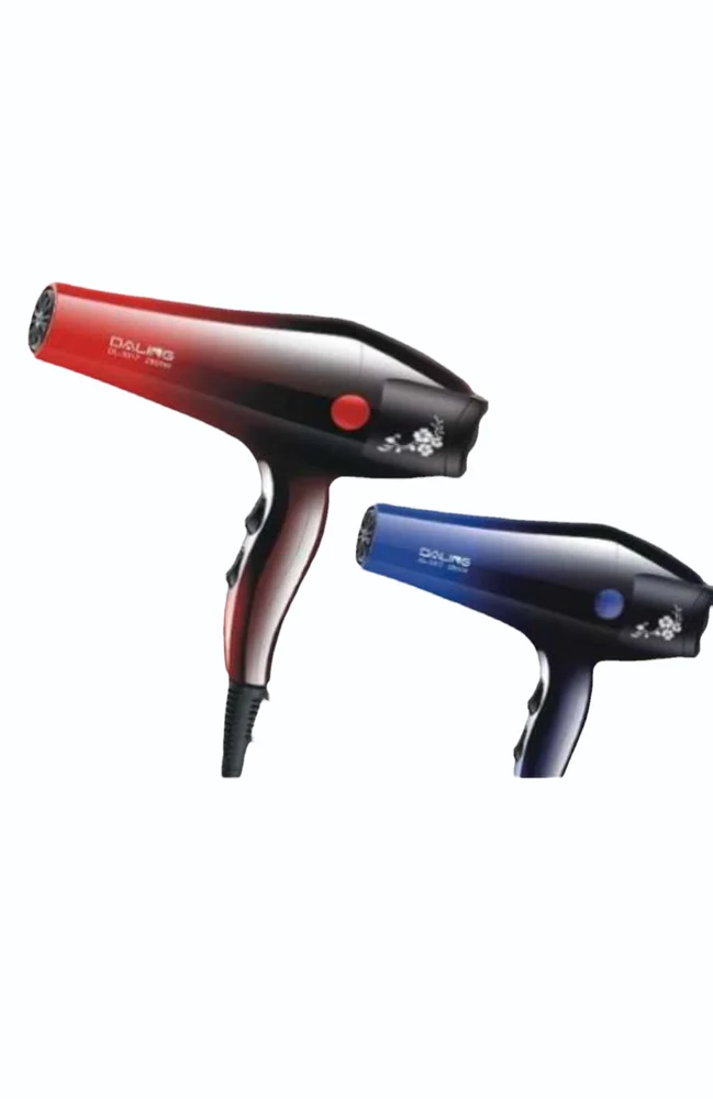 DAILING DL- 3017 HAIR DRYER