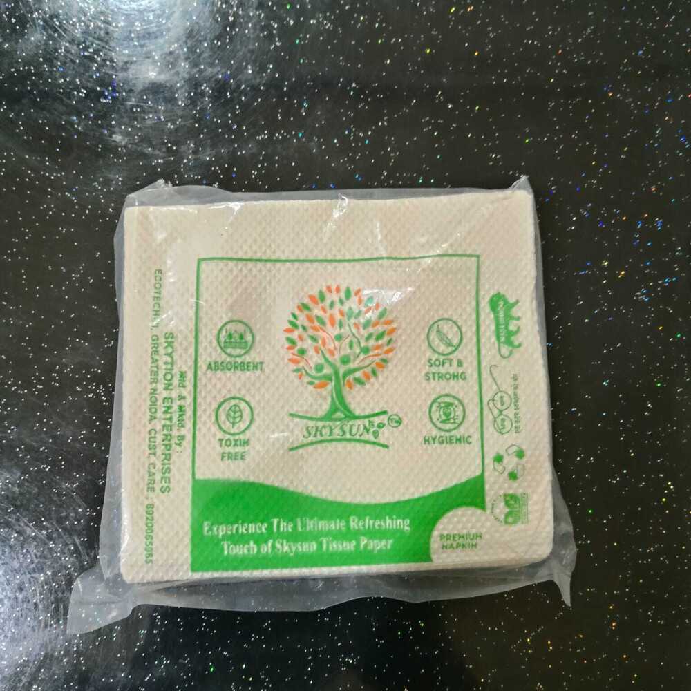 Skysun Napkin (Light Green)