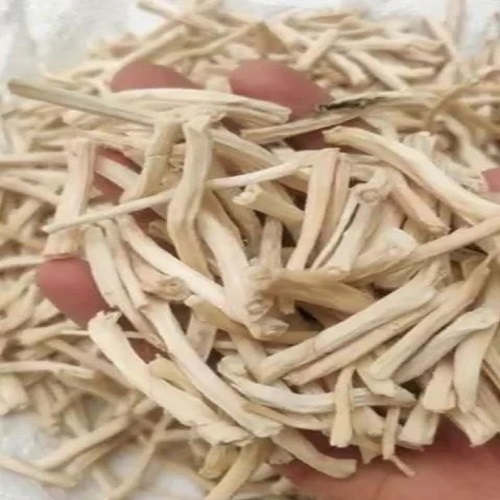 Shatavari Root White powder