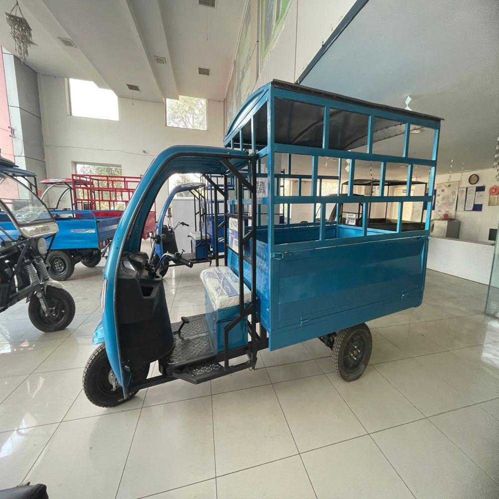 LOADING RICKSHAW IN GWALIOR