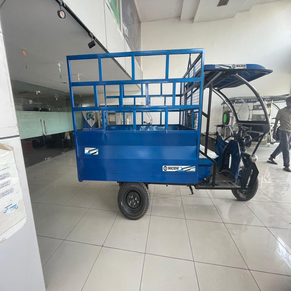 LOADING RICKSHAW IN JAIPUR