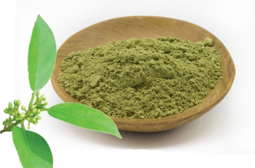 Gudmar Leaves powder-Gurmar Powder- Madhunashni Powder-Nagapushpi