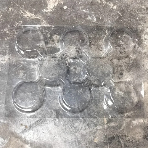 Plastic Blister Packaging Tray
