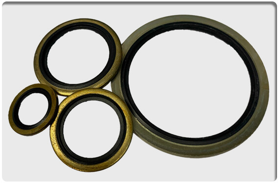 Dowty Seals
