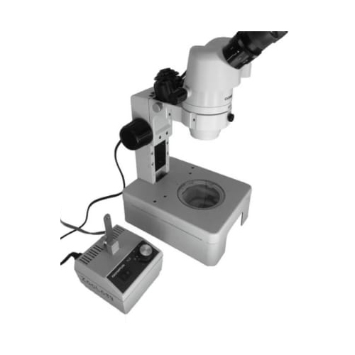 Student Dissecting Microscope