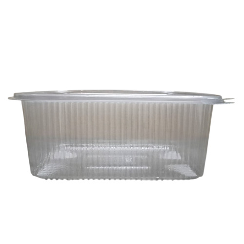 2250ml Plastic Hinged Container