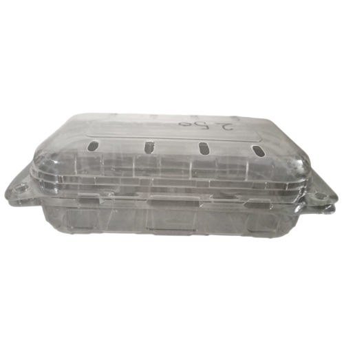 250gms Square Kiwi Punnets