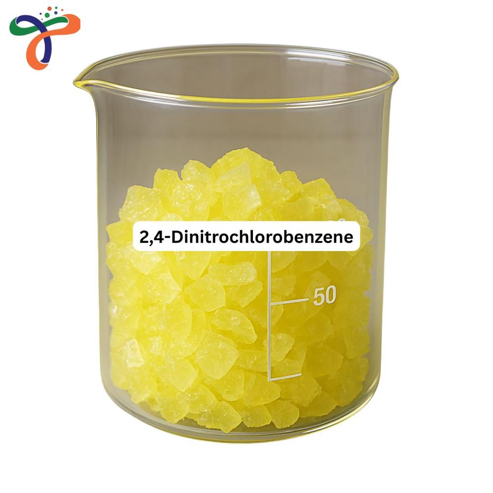 2,4-Dinitrochlorobenzene (97-00-7) (C6H3ClN2O4)