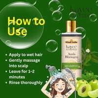 Amla Bhringraj Shampoo Kayee Ayurveda