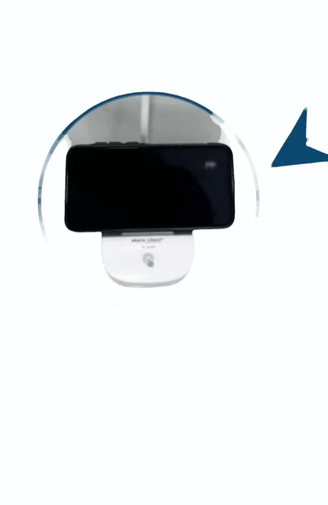 Rock Light RL-8888 Table Lamp