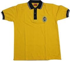 Boys Cotton Uniform T Shirt