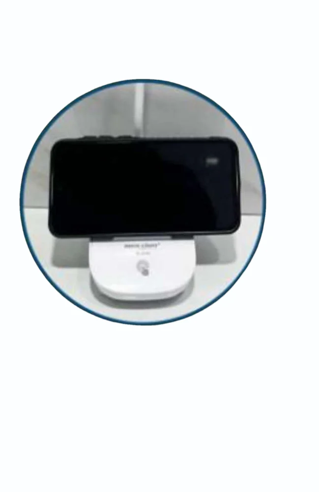 Rock Light RL-9999 Table Lamp