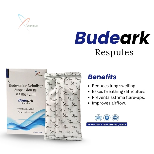 Budesonide Nebuliser Suspention IP 0.5mg / 2mL