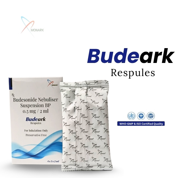 Budesonide Nebuliser Suspention IP 0.5mg / 2mL