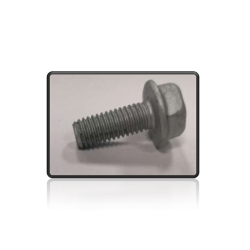 Flanged Screws