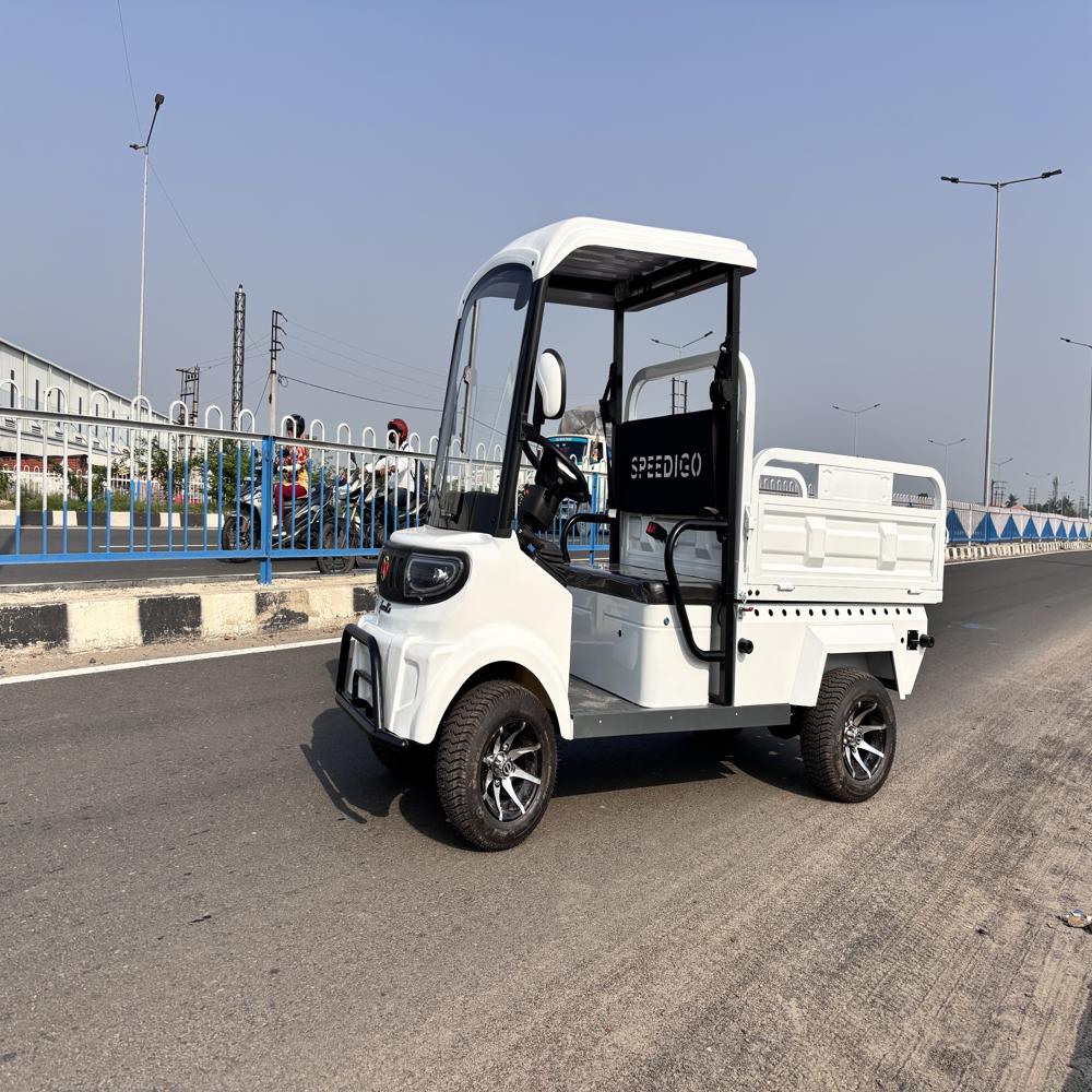 Cargo Truck - Color: Different Available