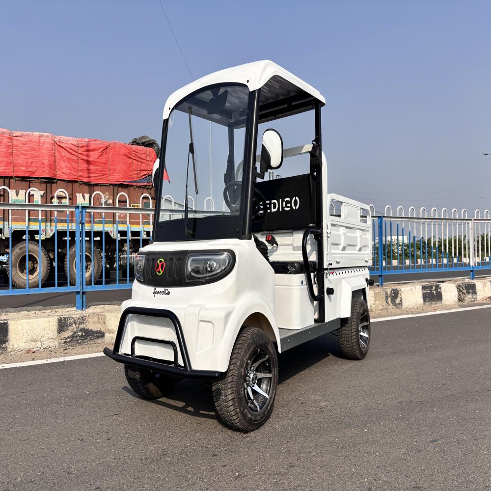 Cargo Truck - Color: Different Available