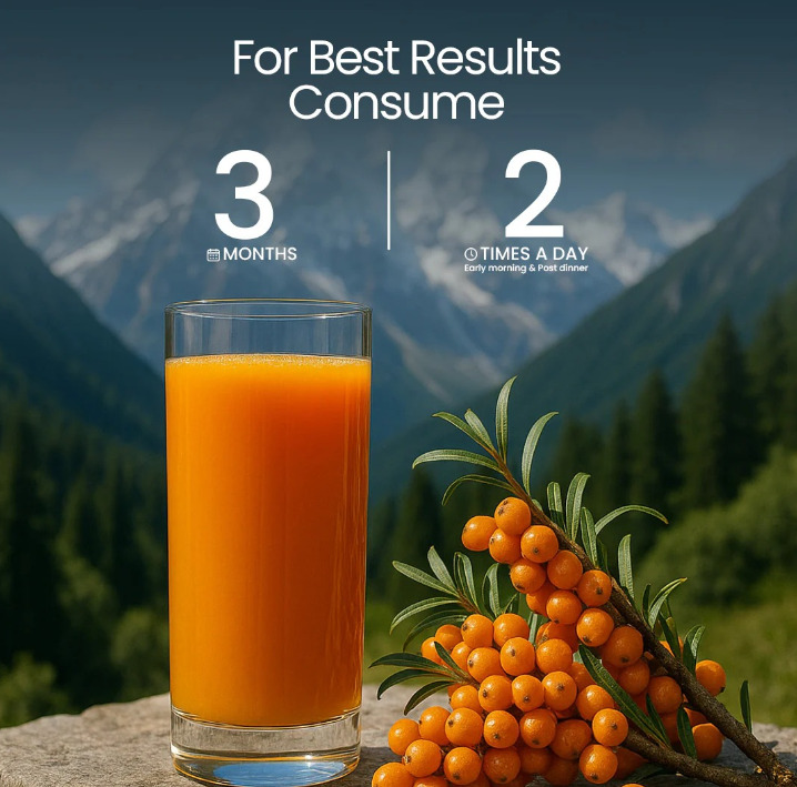 Dhartika Sea Buckthorn Juice 500ml