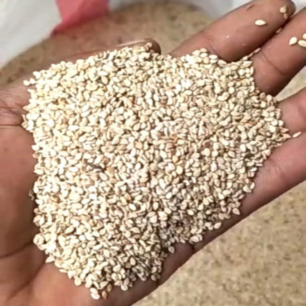 White Sesame Seeds,Natural Sesame Seeds,Raw Sesame Seeds,Edible Sesame Seeds