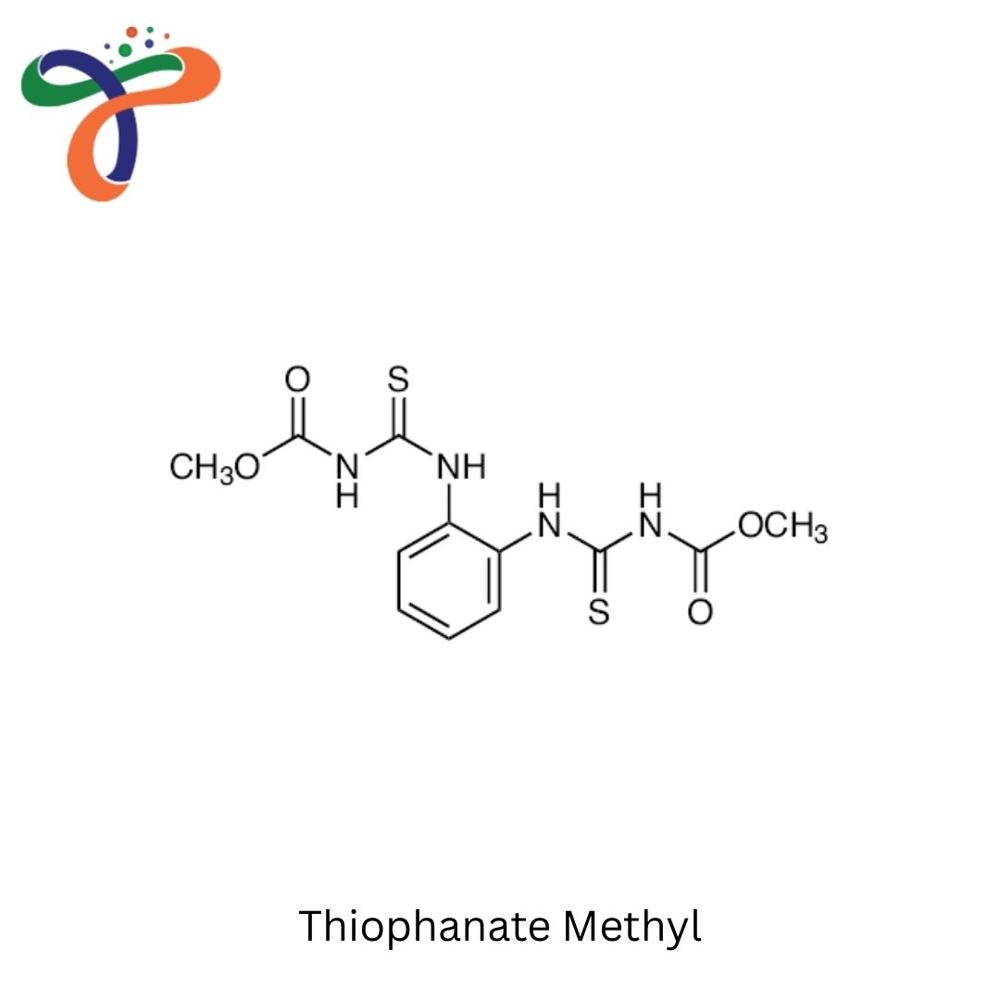 Thiophanate Methyl (23564-05-08)