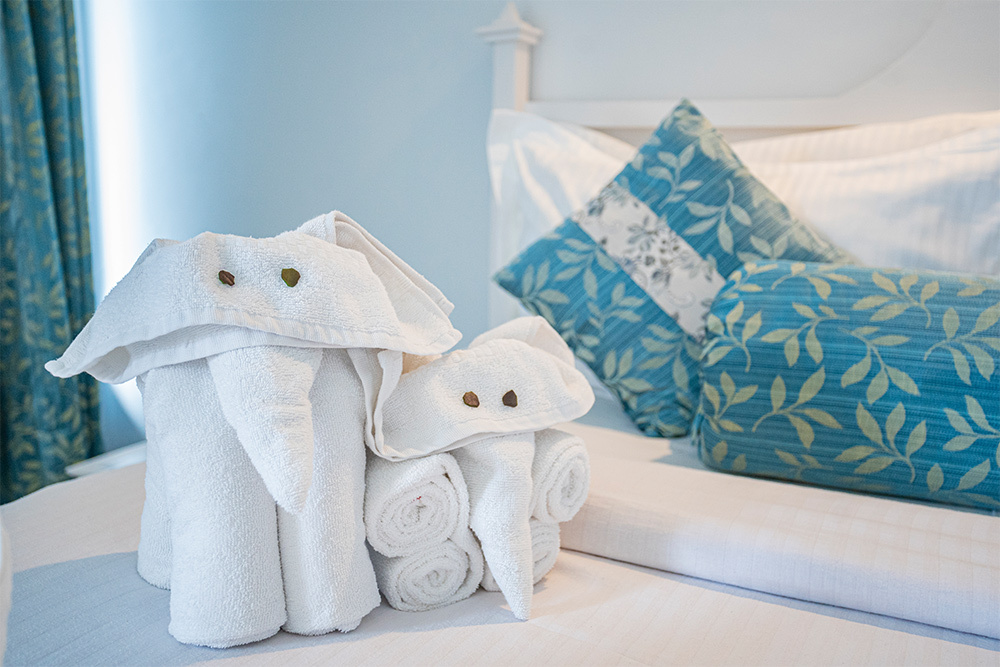 Guest Room Luxury Towel