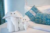 Guest Room Luxury Towel - Age Group: Adults