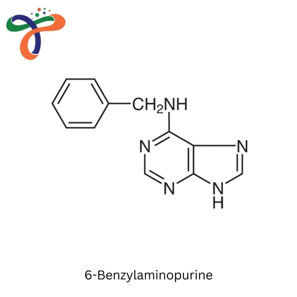 6-Benzylaminopurine (1214-39-7) (C12H11N5)