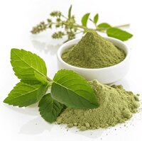 Tulsi Patta Powder - Basil Tulsi Leaf Powder - Basil Leaves Powder - Ocimum Sanctum - Cultivation Type: Natural
