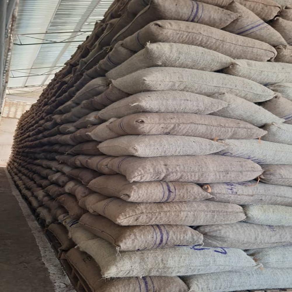 Raw Cashew Nuts - Grade: Aa+