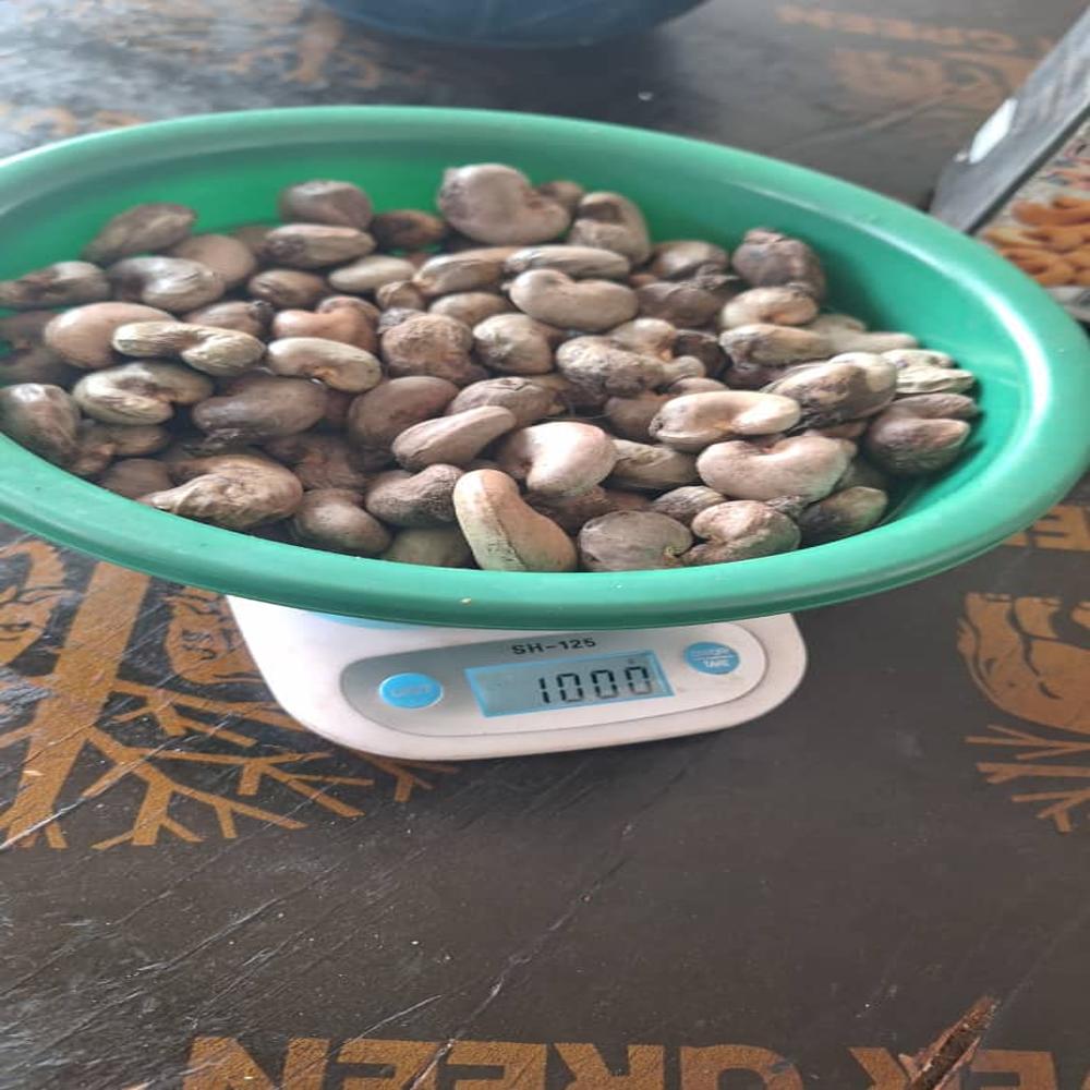 Raw cashew nuts