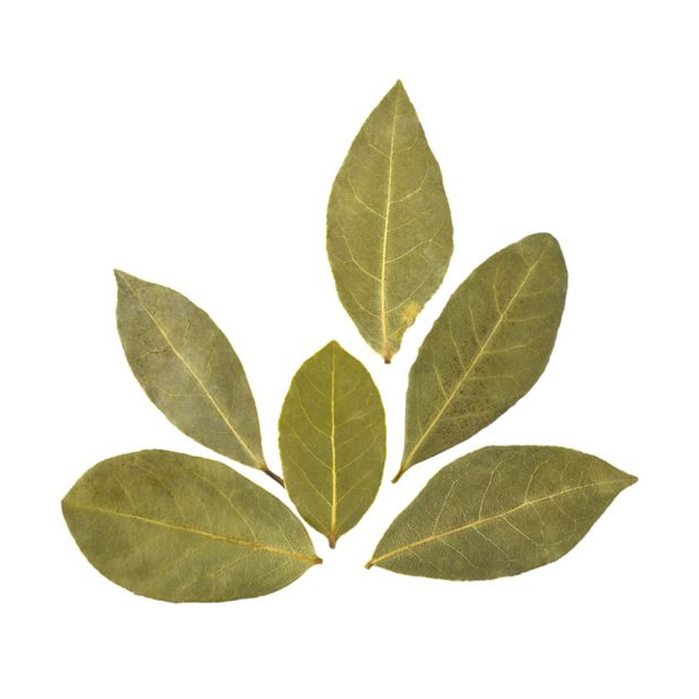 Bay Leaf - Shelf Life: 24 Months