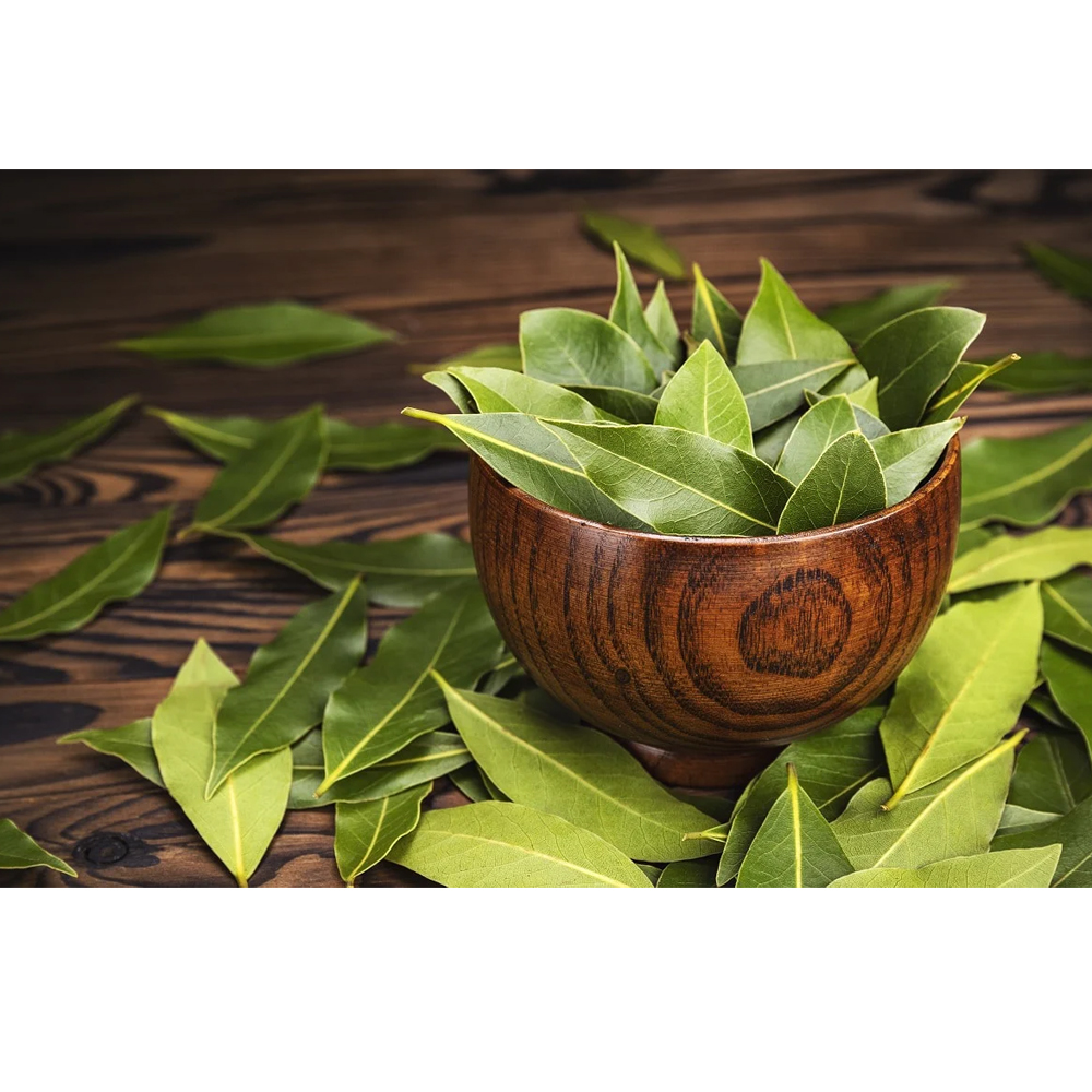 Bay Leaf - Shelf Life: 24 Months