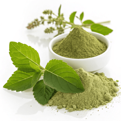 Tulsi Powder - Purity: 99%