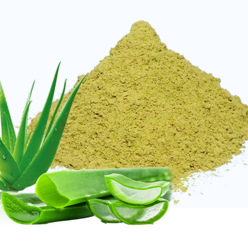 Aloe Vera Powder - Cultivation Type: Organic