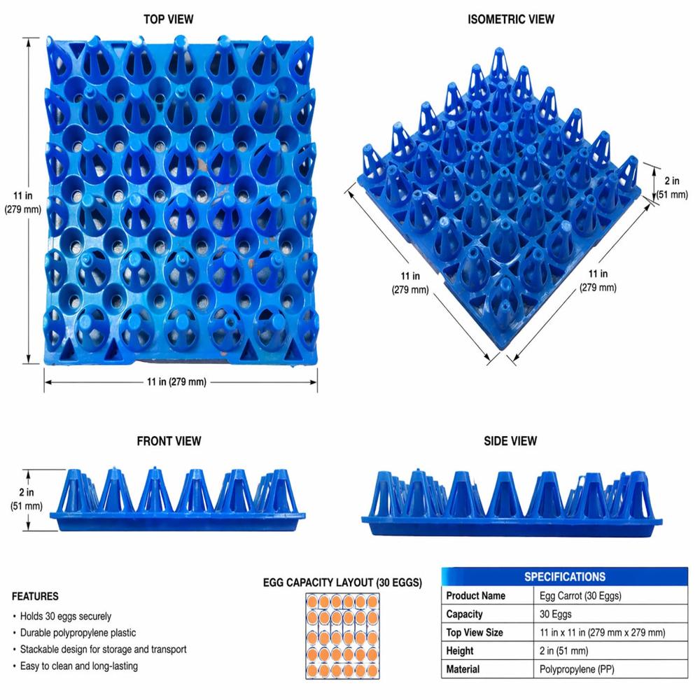 Plastic chicken egg tray