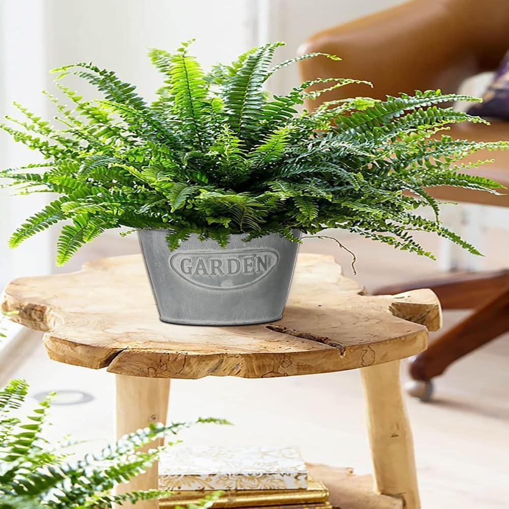 Iron Garden Buckets