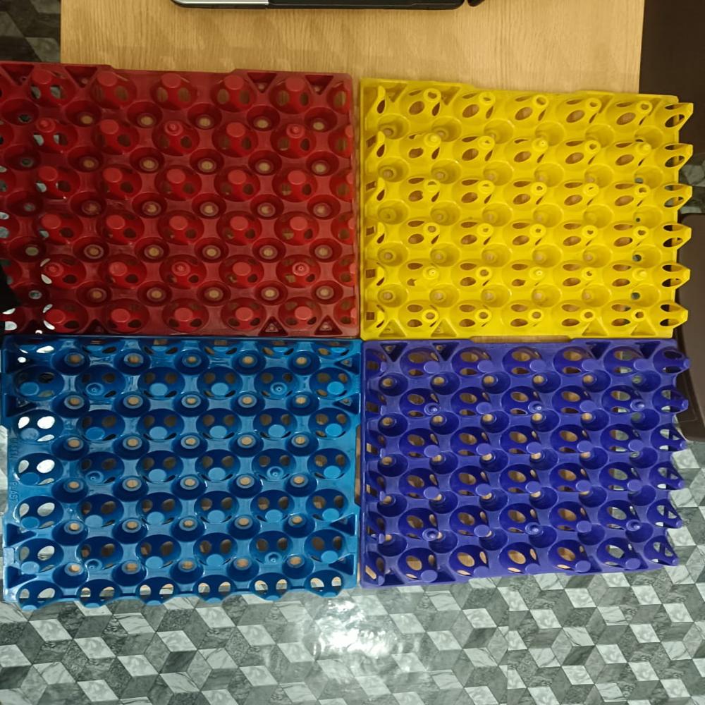 Plastic Chicken Egg Tray - Color: Green / Blue/ Red/ Yellow