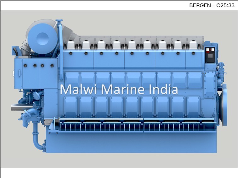 BERGEN Engine Parts - C25-33