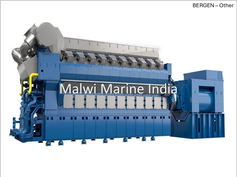 BERGEN Engine Parts - Other