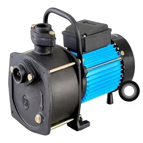 CRI SHALO100 1 HP Shallow Jet Water Pump